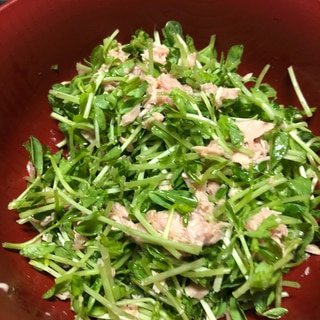 豆苗とツナのサラダ(ごま油.醤油)